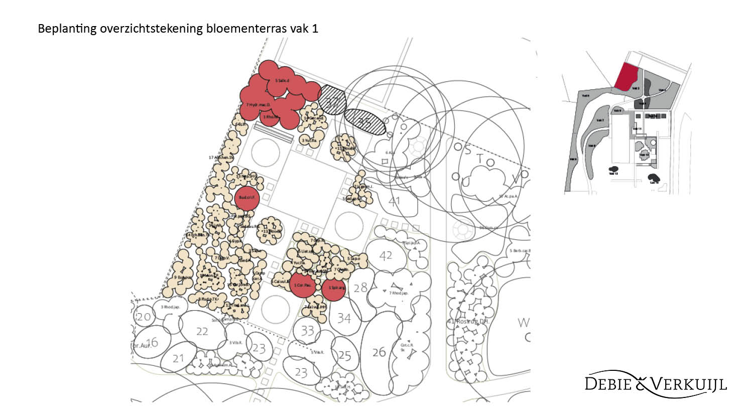 Huis Bonnema Landschapsarchitecten Erfgoed Mien Ruys Groen Hoveniers Beplantingsplan Tuin