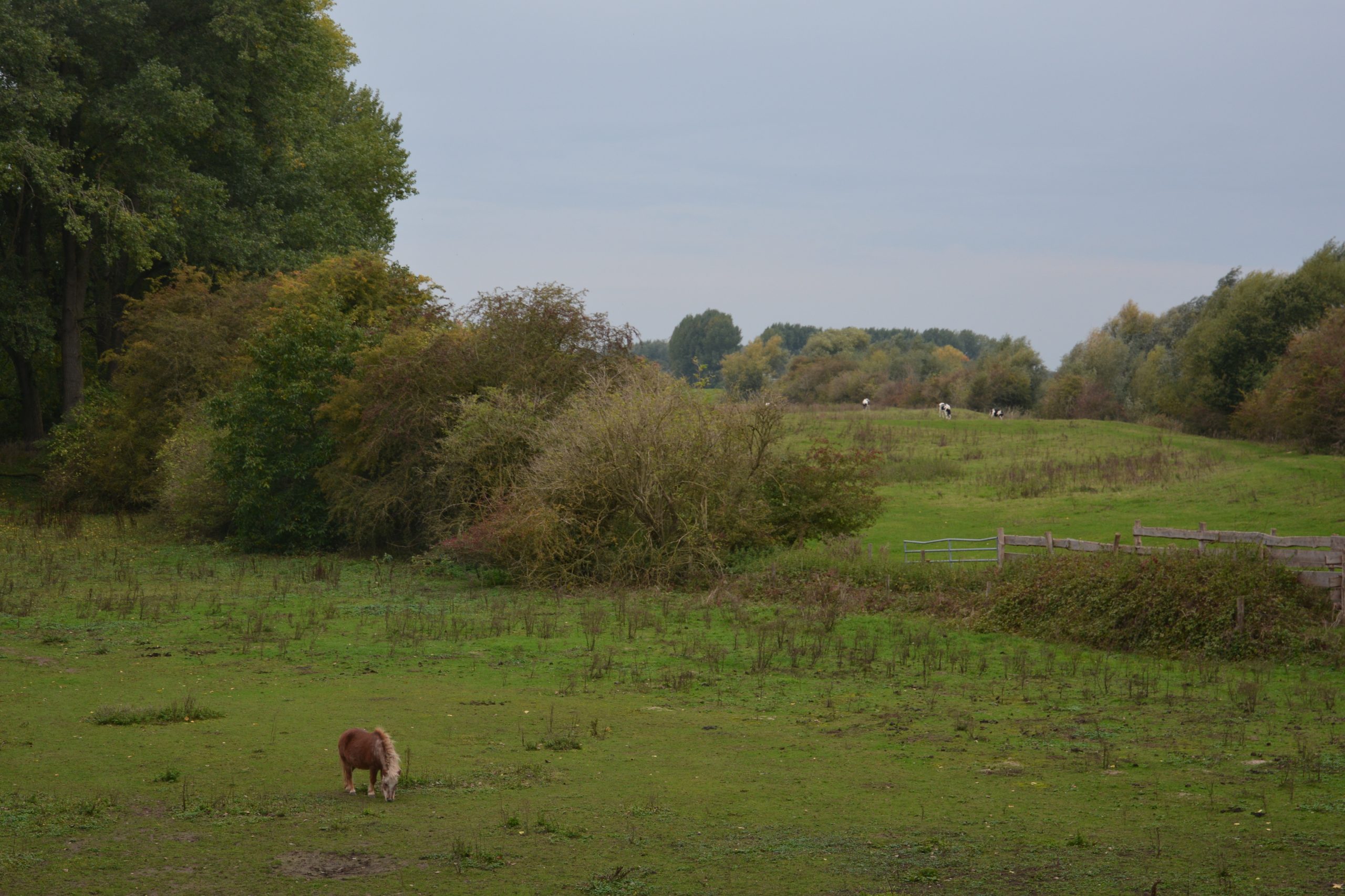 DSC_7754